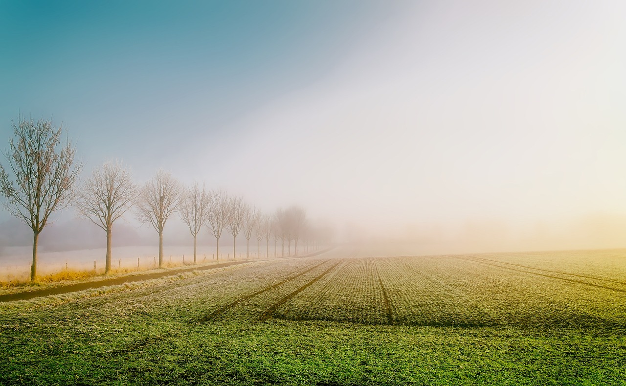 Impact of climate change on agriculture suggests even greater challenges to the environment, global food supply and public health
